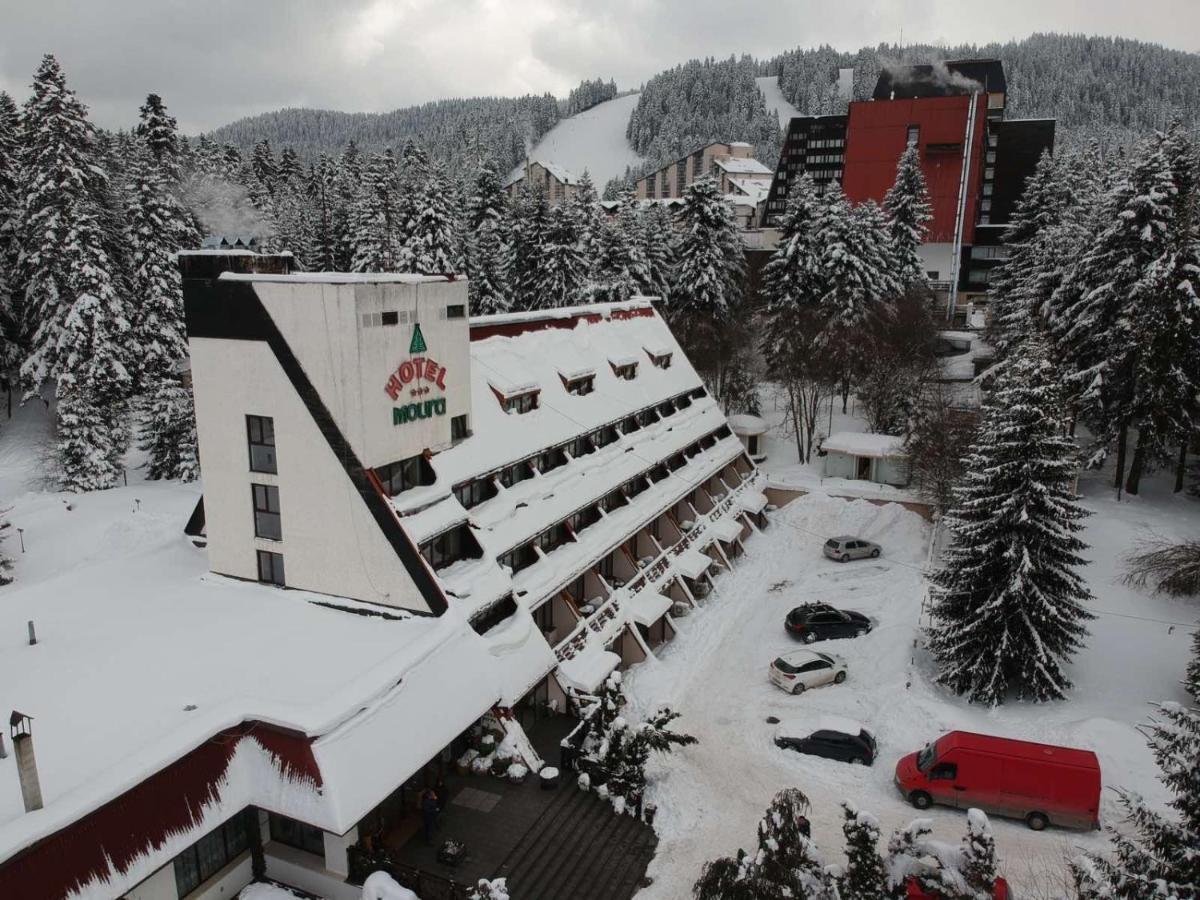 Moura & Villas Borovets Mountain Relax Spa Hotel Exteriör bild